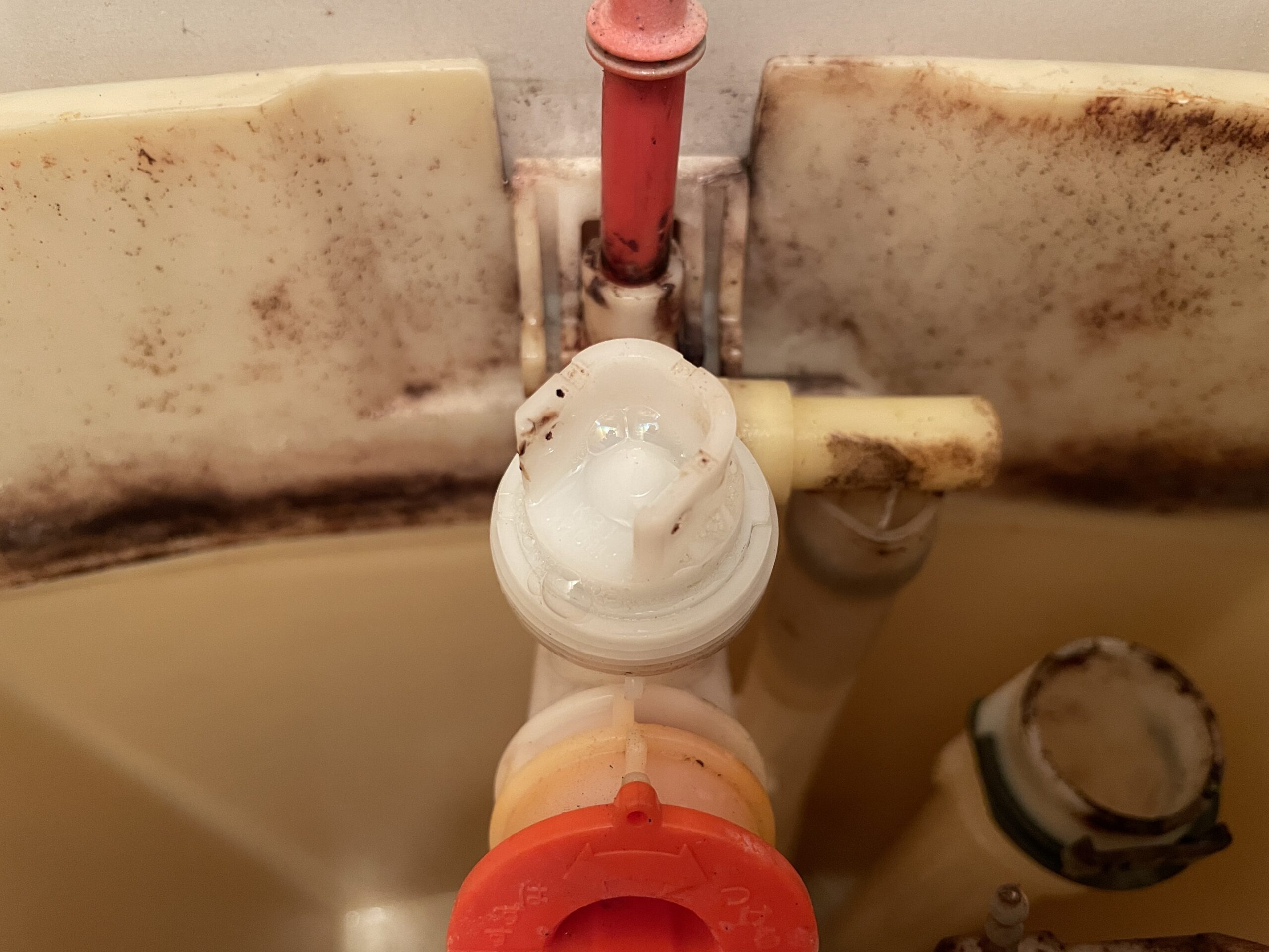 施工前：トイレ部品：ダイヤフラム交換